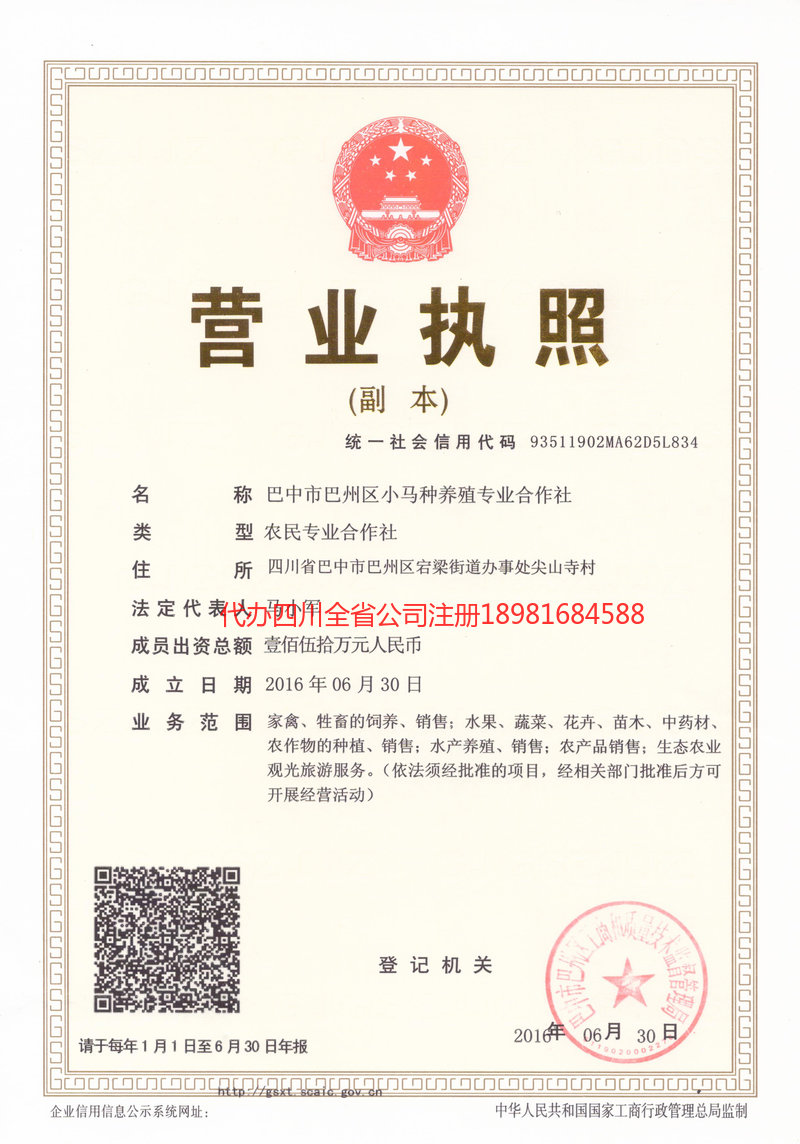 和龙和龙小马种养殖专业合作社